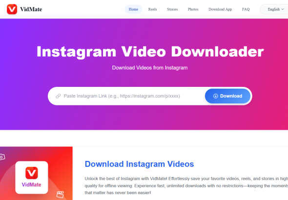 Instagram Reel Video Download
