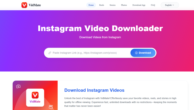 Instagram Reel Video Download